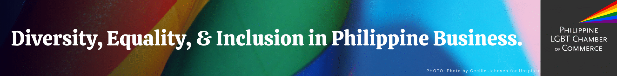 PLCC BANNER (1080 × 100 px) (1080 × 134 px)