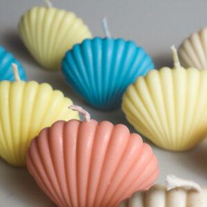 Scented Shell Candles by Crescent Island Co